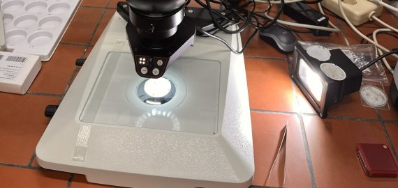 One Earth – One Ocean Bild zu One Earth – One Ocean