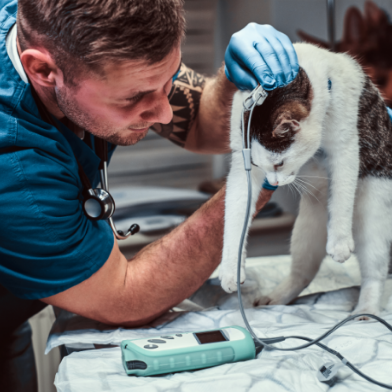 Berufliche Schule des Kreises Stormarn in Bad Oldesloe Berufliche Schule des Kreises Stormarn in Bad Oldesloe