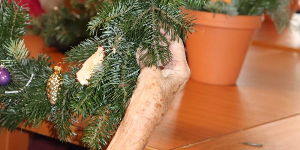  Berufliche Schule des Kreises Stormarn in Bad Oldesloe