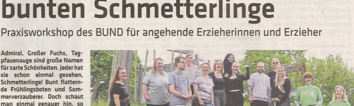 Ein Garten mit Futter für die bunten Schmetterlinge Berufliche Schule des Kreises Stormarn in Bad Oldesloe