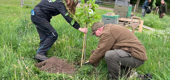 Bild zu Klasse der Ausbildungsvorbereitung engagiert sich für die Zukunft und pflanzt Bäume Gemeinsam wachsen – für Natur, Gesellschaft und Beruf